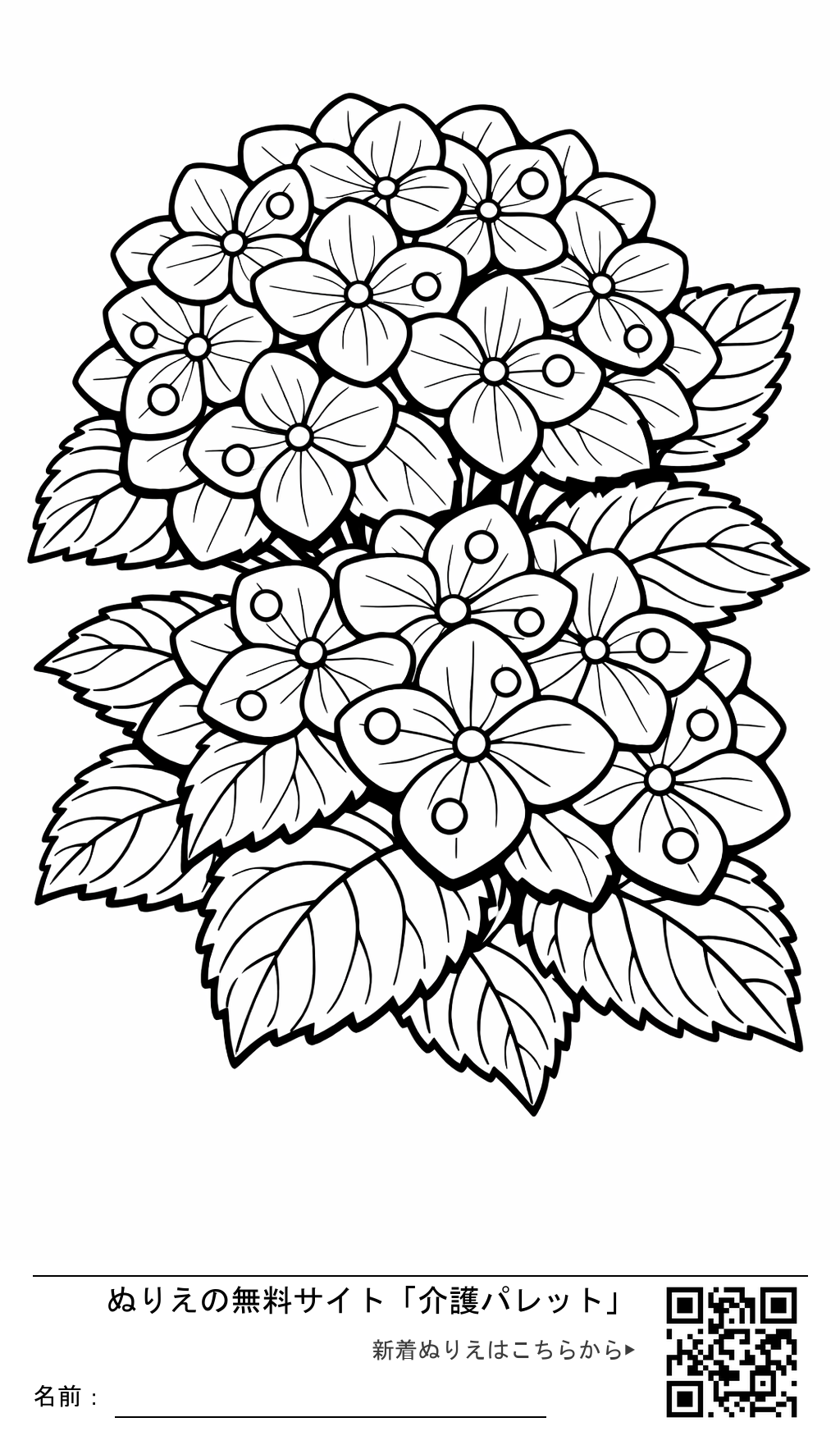 ぬりえ「瑞々しい紫陽花」