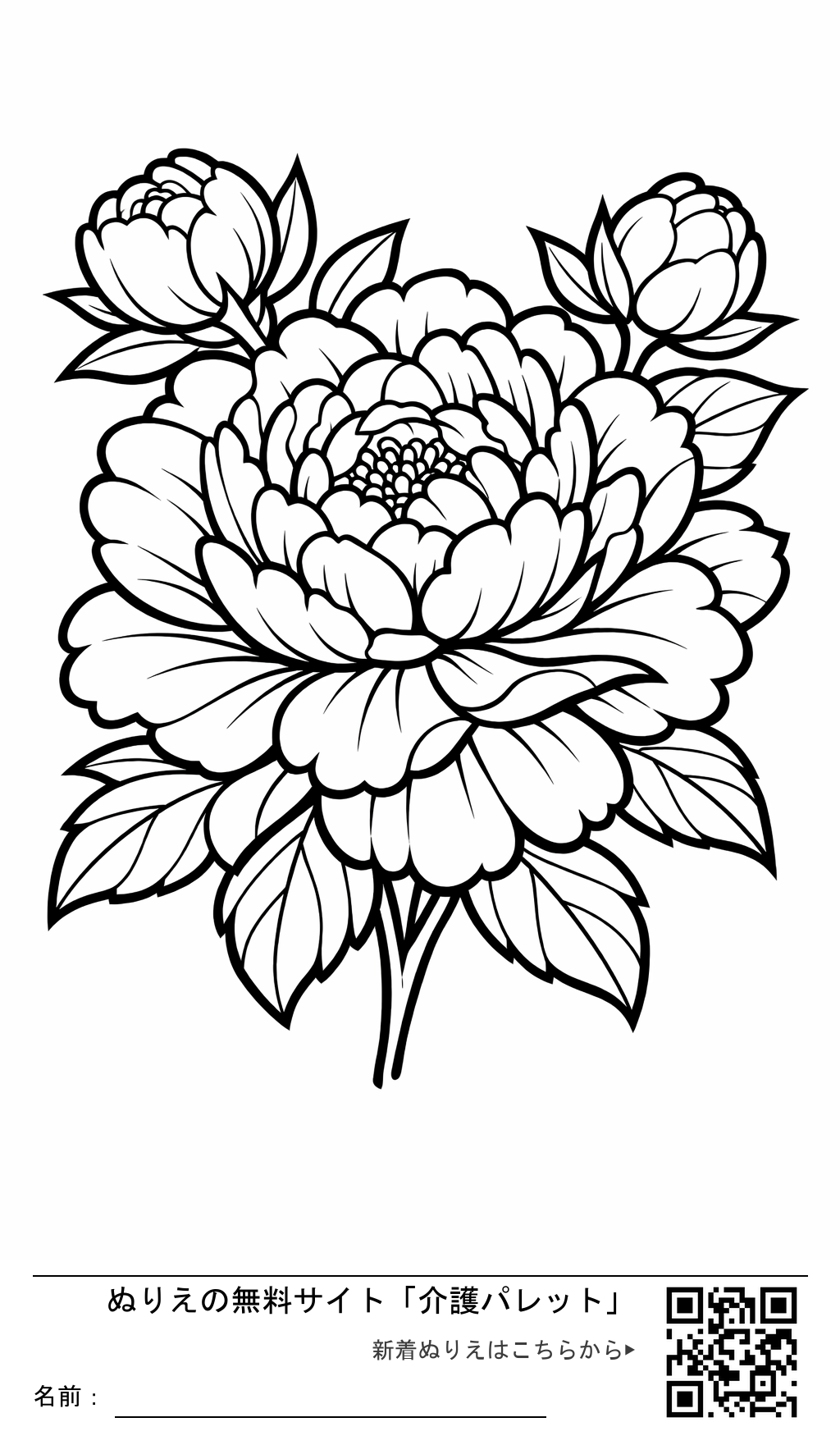 ぬりえ「立てば芍薬（シャクヤク）」